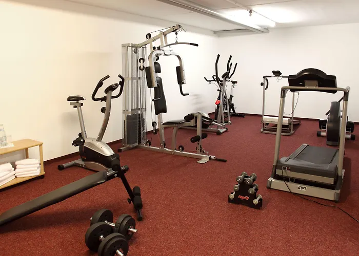 Hotel Lobinger Weisses Ross 4*